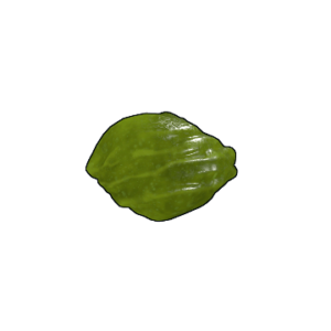 Acid Rock