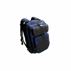 Arctic Backpack