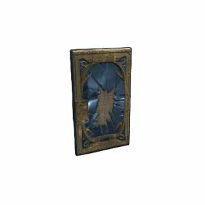 Broken Mirror Door