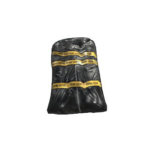 Crime Bag