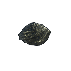Dragon Egg