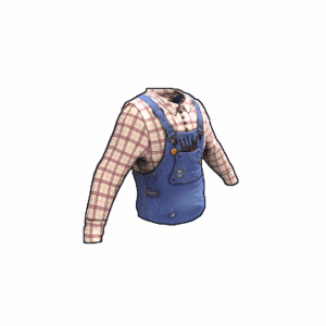 Farmer Overalls Top