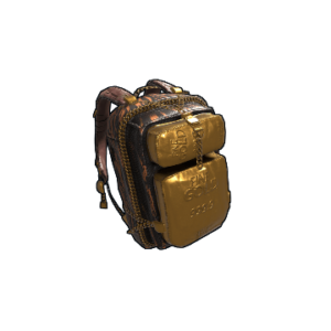 Gold Chains Backpack