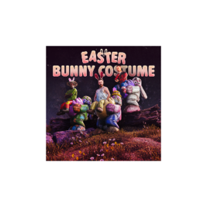 Bunny Costume
