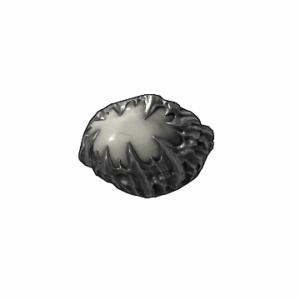Heart of Chaos Rock