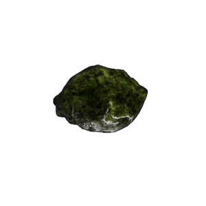 Mossy Fossil