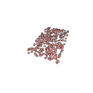 Rose Pedals Rug
