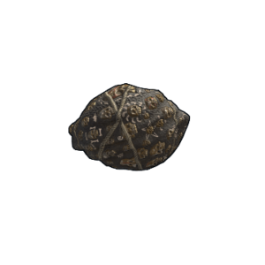 Shaman Rock