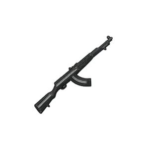 Training SKS