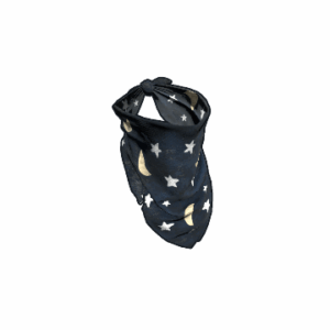 Wizard Bandana
