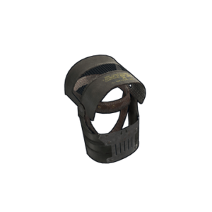 Bumble Bee Helmet
